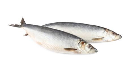 Whole delicious salted herrings isolated on white