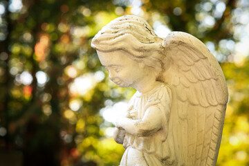 Obraz premium Beautiful statue of angel at cemetery, closeup. Religious symbol