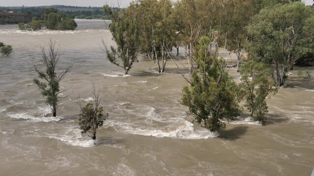 Flooding South African Vaal River overruns banks into shoreline trees