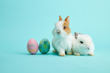 Easter bunny rabbit with painted eggs on Blue background. easter holiday concept.