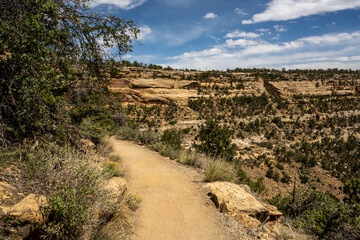 Dirt Trail Along Route to Long House in Mesa Verde