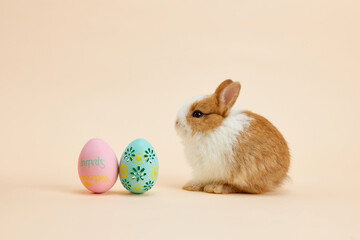 Easter bunny rabbit with painted eggs on light brown background. easter holiday concept.