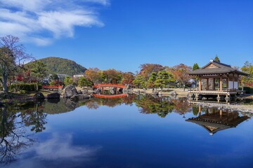 青空バックに見る秋の日本庭園の情景＠福井