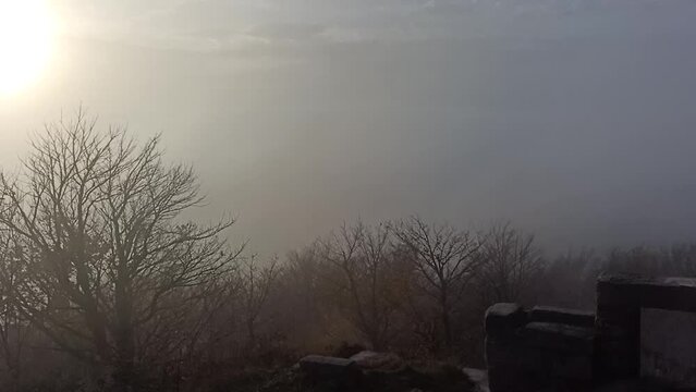 Windy and foggy day at a lookout point on a top of a hill. There is Autumn weather, the fog is all around, silhouettes of trees are in the fog, and the evening sun is shining in the background. 