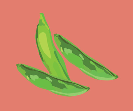 peruvian peas vector illustration