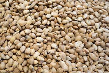 close up on nuts as food background