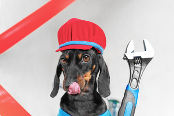 Super mario dog wrench in uniform seductive confident plumber showing tongue Advertisement husband for an hour plumbing installation repair services husband for an hour. Development centers children 
