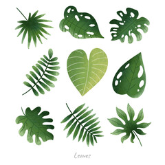 leaves vector bundle set design illustration for ecology resources