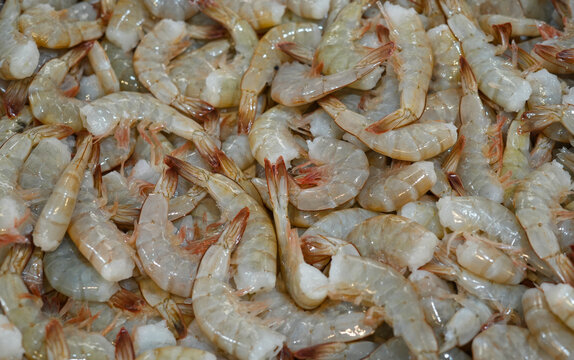 fresh shrimp as seafood background