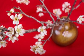 赤バックの花瓶に入った白梅の花