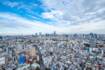Fototapeta premium 日本の首都東京の都市風景