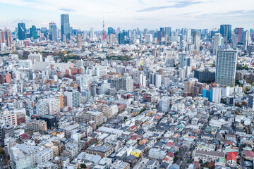 Fototapeta premium 日本の首都東京の都市風景