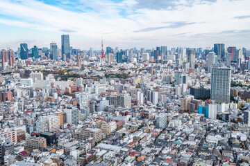 Obraz premium 日本の首都東京の都市風景