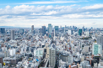 Fototapeta na wymiar 日本の首都東京の都市風景