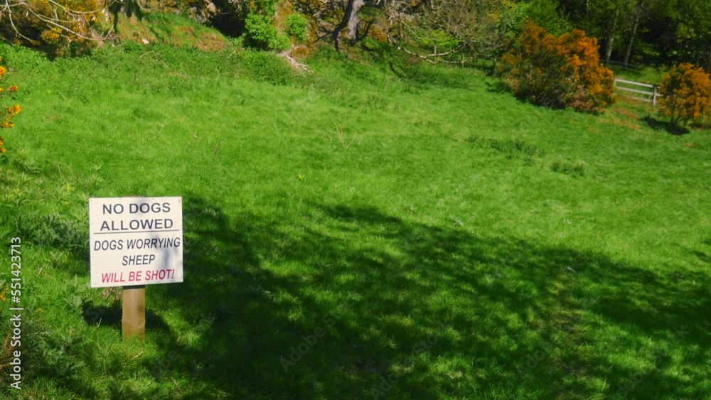 Canvas Prints Sign of no doggs allowed because dogs worrying sheep on grass farmland