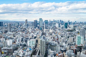 Fototapeta premium 日本の首都東京の都市風景