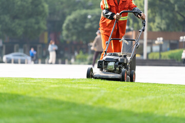 Worker is mowing the lawn 