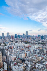 Obraz premium 日本の首都東京の都市風景