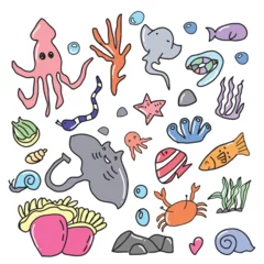 Fotobehang Onder de zee Set of ocean animal kawaii isolated on white background. Childish character. Colored flat cartoon vector illustration. 