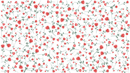 Summer Seamless Pattern with red roses on a  transparent  Background. For gift wrapping paper,  ornament for cloth, card, wedding, wallpaper, background and textile print. Vector Illustration