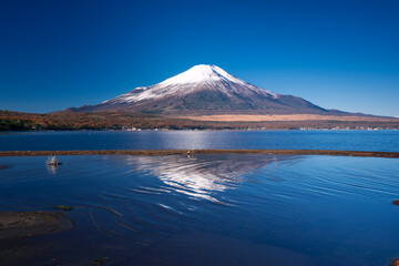 秋の山中湖の湖畔に冠雪した富士山