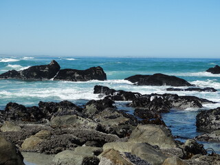 Obraz premium Mar sudafricano