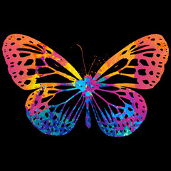 Watercolor Butterfly, Abstract Butterfly, Colorful Butterfly, Butterfly Illustration, Butterfly Drawing, Butterfly, Art
