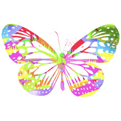 Watercolor Butterfly, Abstract Butterfly, Colorful Butterfly, Butterfly Illustration, Butterfly Drawing, Butterfly, Art
