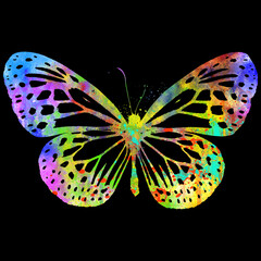 Watercolor Butterfly, Abstract Butterfly, Colorful Butterfly, Butterfly Illustration, Butterfly Drawing, Butterfly, Art
