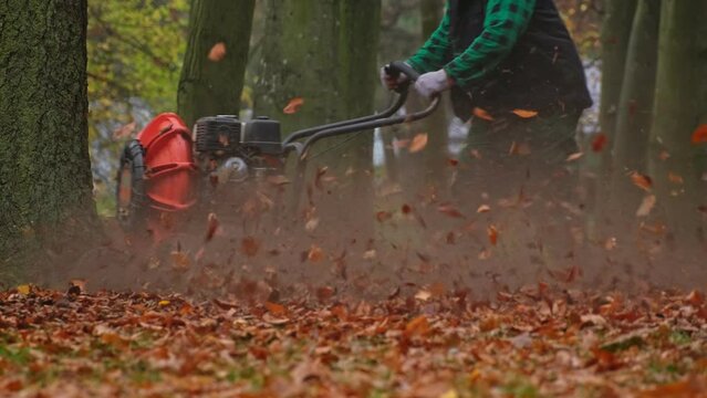 Park Janitor Using Industrial Leaf Blower on Lawn Covered in Withered Brown Autumn Leaves