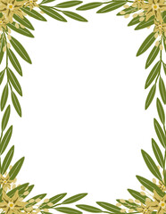 Floral Frame, Border Picture 