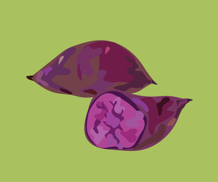 purple sweet potato vector illustration