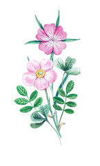 Bouquet of wild field and meadow plants. Watercolor botanical illustrations for invitations, greeting cards and design.