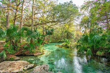 Natural spring at Kelly Rock Springs Park in Apopka, Florida just north of Orlando.  