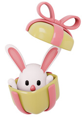 3D Render rabbit in a gift box isolated on white. 3D Render illustration.