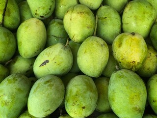 pile of fresh mangoes for sale in the market. healthy fruit full of vitamins