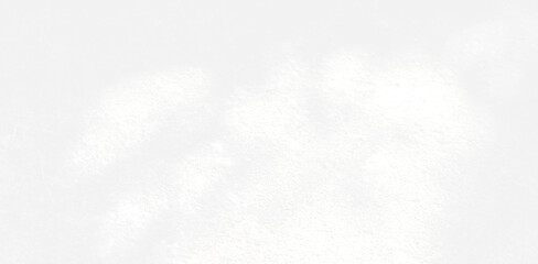 Abstract blurred background. The shadow reflection of leaves and gray light lines. on the white surface concrete wall. for wallpaper, backdrop and design.