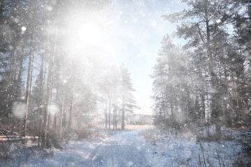 winter background snowfall trees abstract blurred white