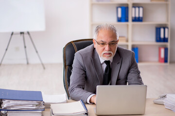 Old male employee working in the office