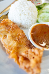 Close up, fried fish, rice, cucumbe and vegetable salad on white dish