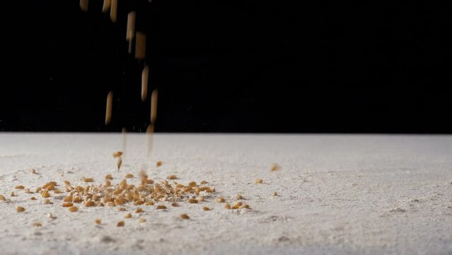 Wheat grains falling on a surface layered with flour -  Indian agriculture produce  Atta. Gehu dropping against a black background - cereals  fiber