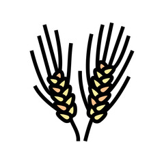 semolina plant healthy color icon vector. semolina plant healthy sign. isolated symbol illustration