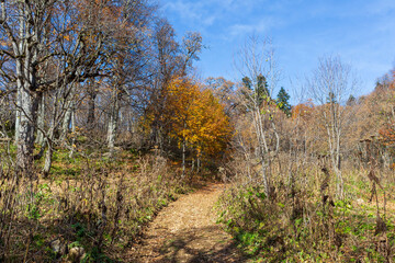 the beginning of autumn, nature walks, panoramic views of the mountains, hiking trails and recreation in the mountains.*