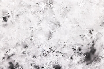 ice snow crystals background abstract white winter