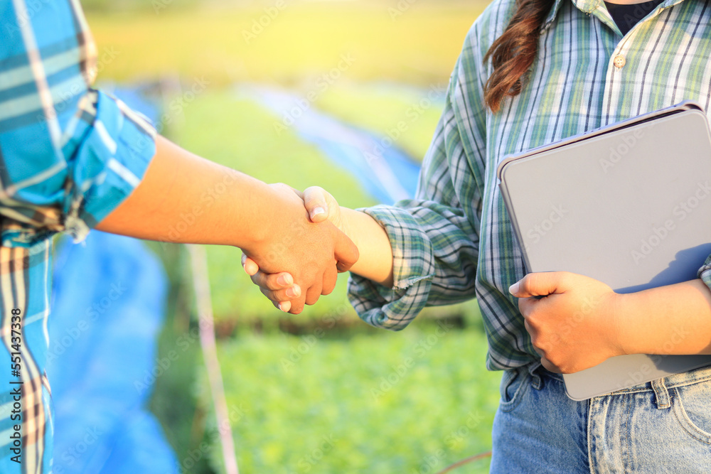 Wall mural handshake two farmer on the background of a tobacco field at sunset. use a tablet.smart agriculture.