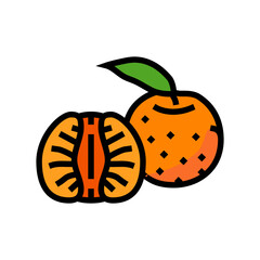 cut tangerine leaf color icon vector. cut tangerine leaf sign. isolated symbol illustration