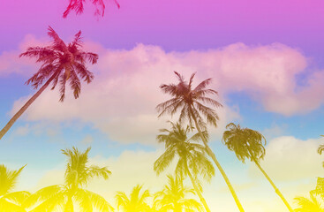 Naklejka premium The holiday of Summer with colorful theme as palm trees background as texture frame background