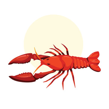 Red orange fresh lobster or cray fish vector illustration isolated on white background with yellow circle. Cartoon flat art styled sea food pictogram animals.