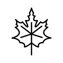 Autumn maple leaf icon design template clipart illustration