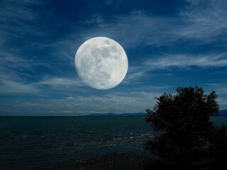 Naklejka na ściany i meble moon over sea